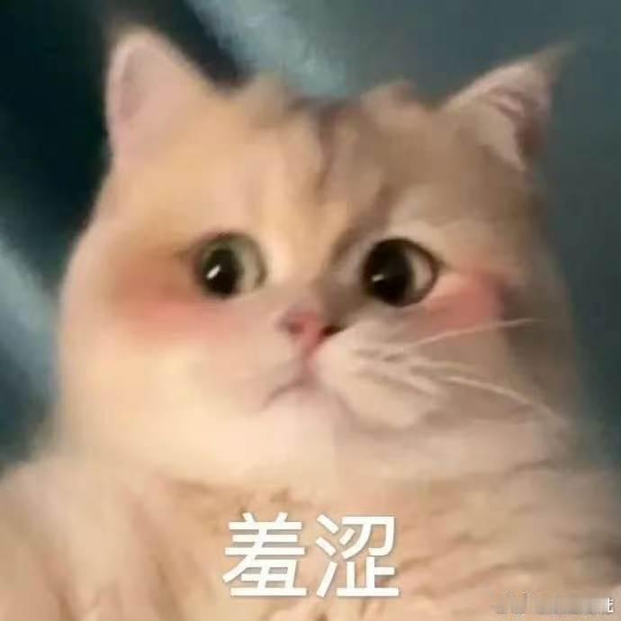 被大家找工作的思路震撼到了找工作就像做自媒体，简历得针对岗位JD精准策划，黄金