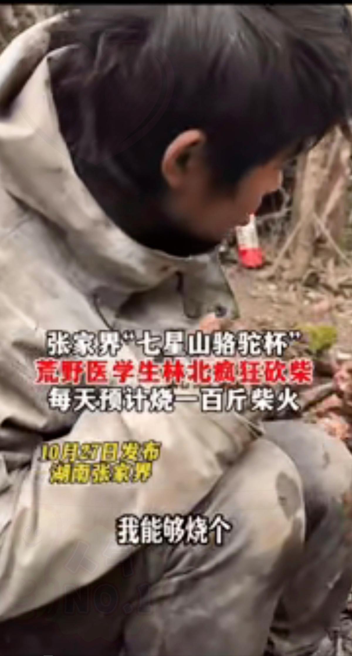 张家界那个叫林北的大学生，是真把荒野求生玩出精髓了！一天烧一百斤柴看着疯魔，其实