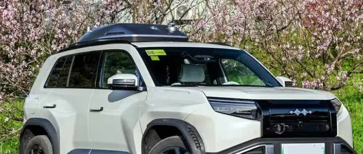 方程豹系列车型，目前有多少销量本月最新方程豹系列车型所有销量情况除了