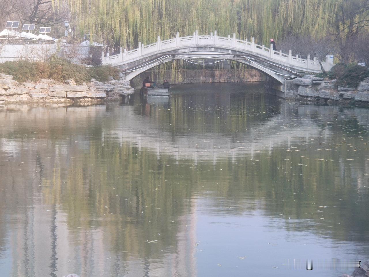 不知道生活在郑州的你，有没有发现一个在悄无声息发生着变化的事情，就是我突然发现郑