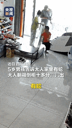 “不速之客！”10月6日四川自贡，一名男孩意外看见家中竟有一条蛇，他迅速向父母报
