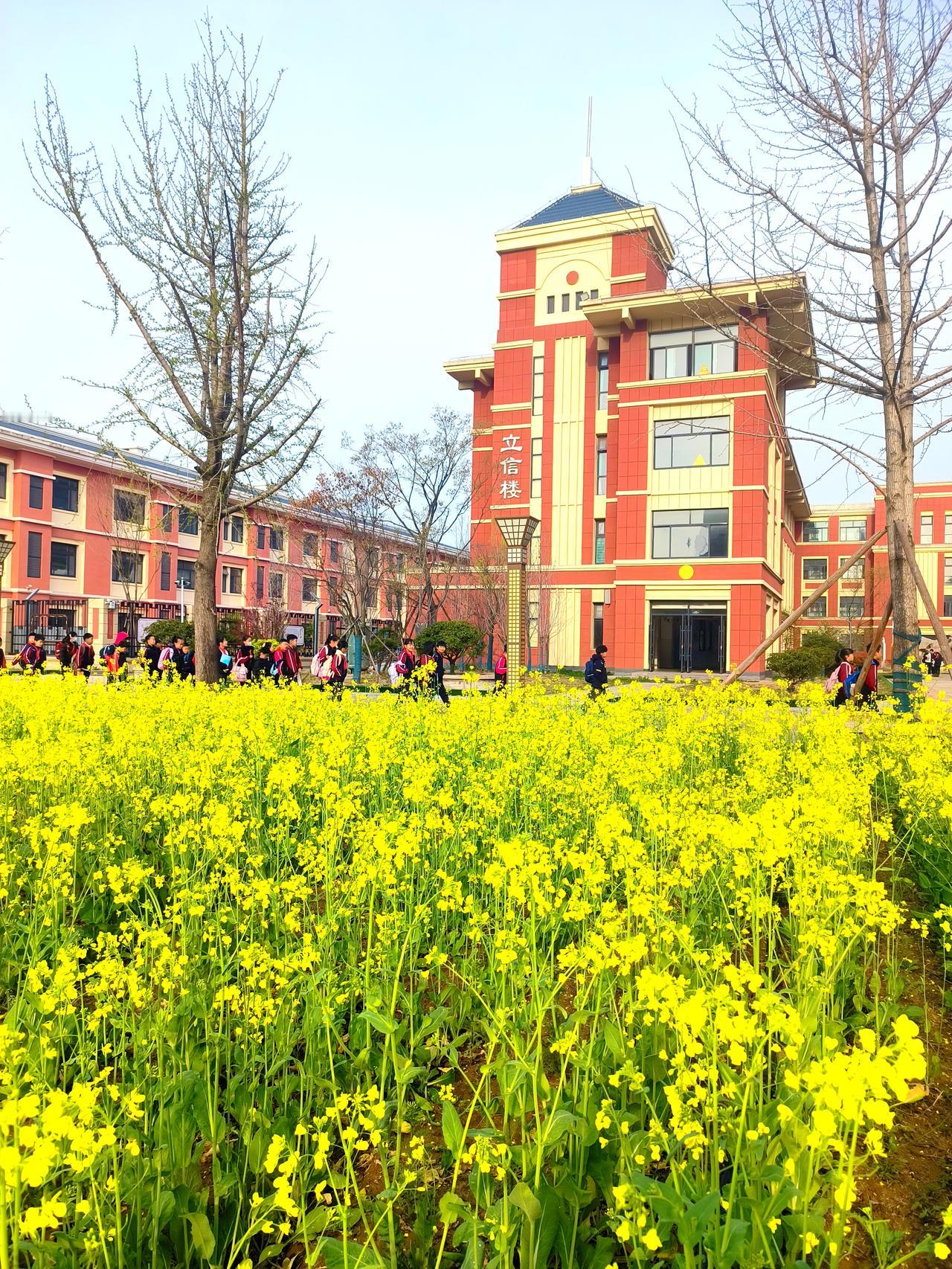 是该表扬还是批评这样的老师呢？学生上室外课，有的老师把没有完成作业的学生留在