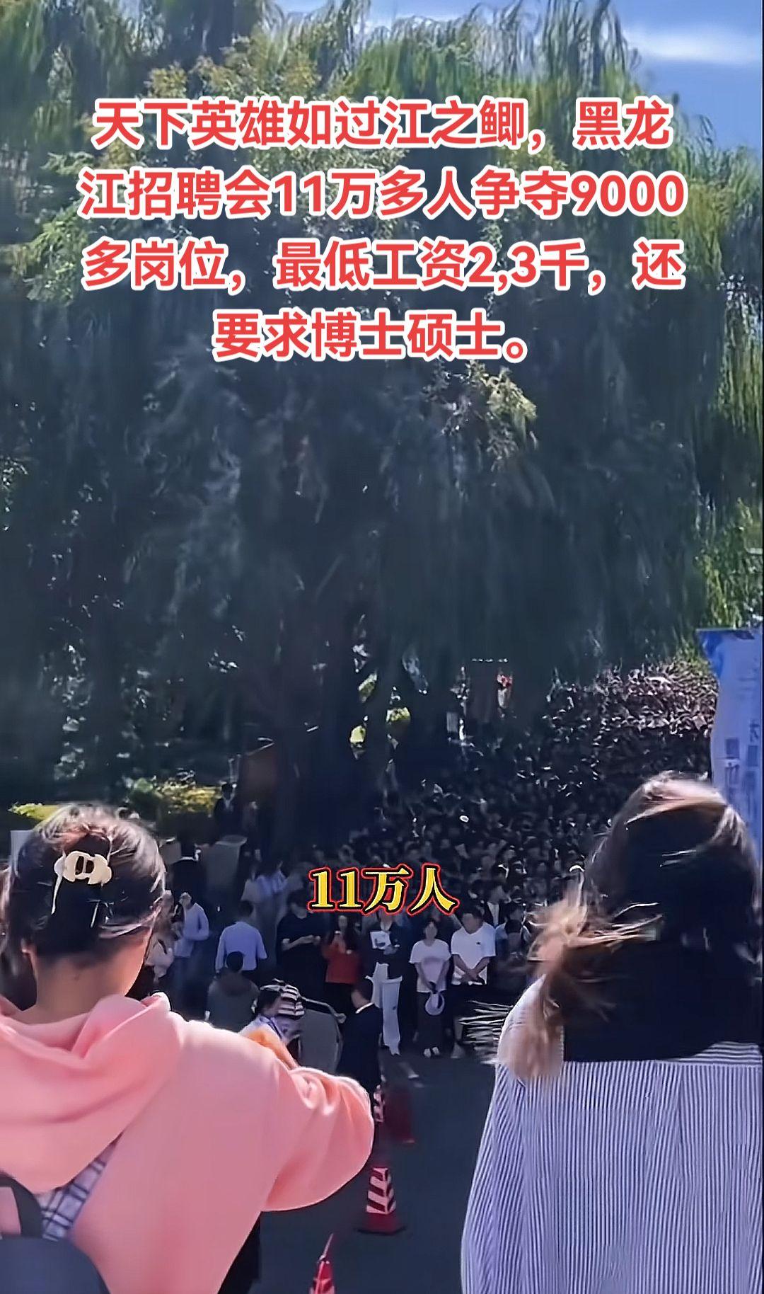 天下英雄如过江之鲫，黑龙江招聘会11万多人争夺9000多岗位，最低工资2,3千，