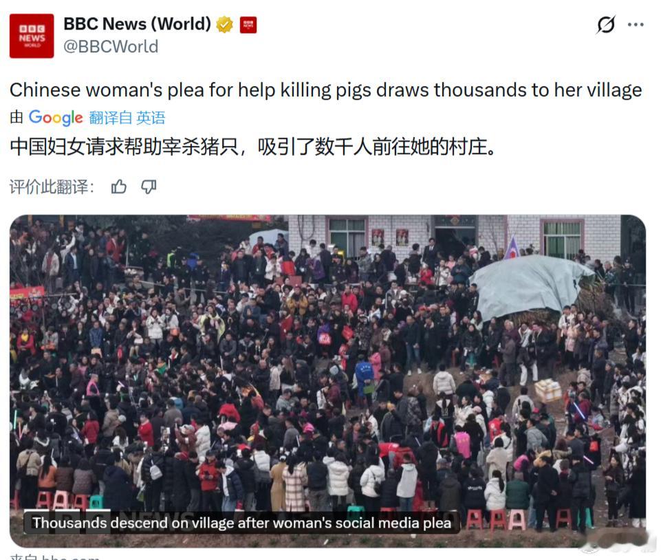 BBC：中国妇女请求帮助宰杀猪只，吸引了数千人前往她的村庄。我说为什么上了BBC