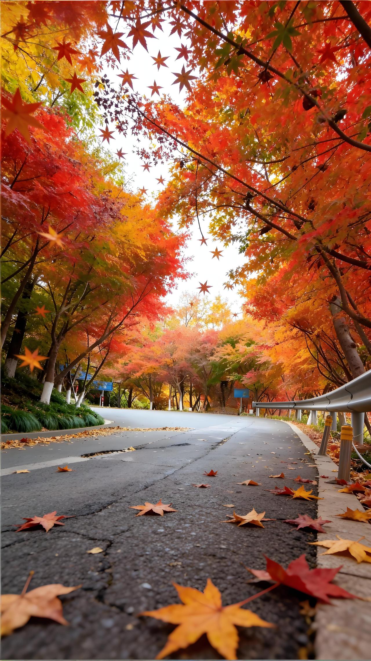 分享一张绝美的风景照片