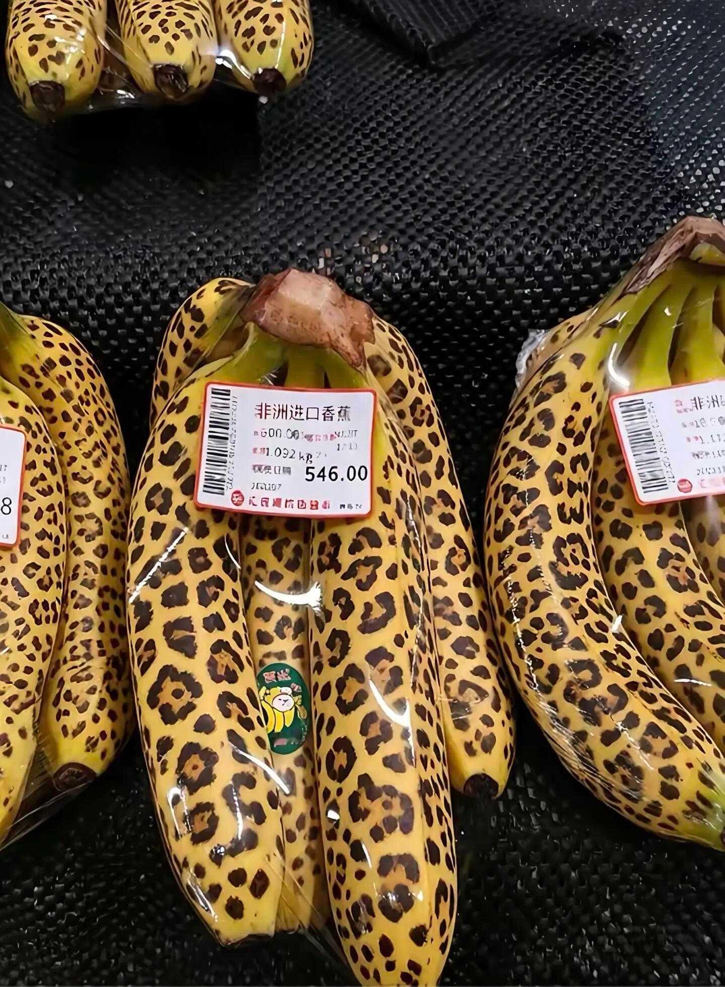 你以为穿上豹纹外衣就不认识你了吗？