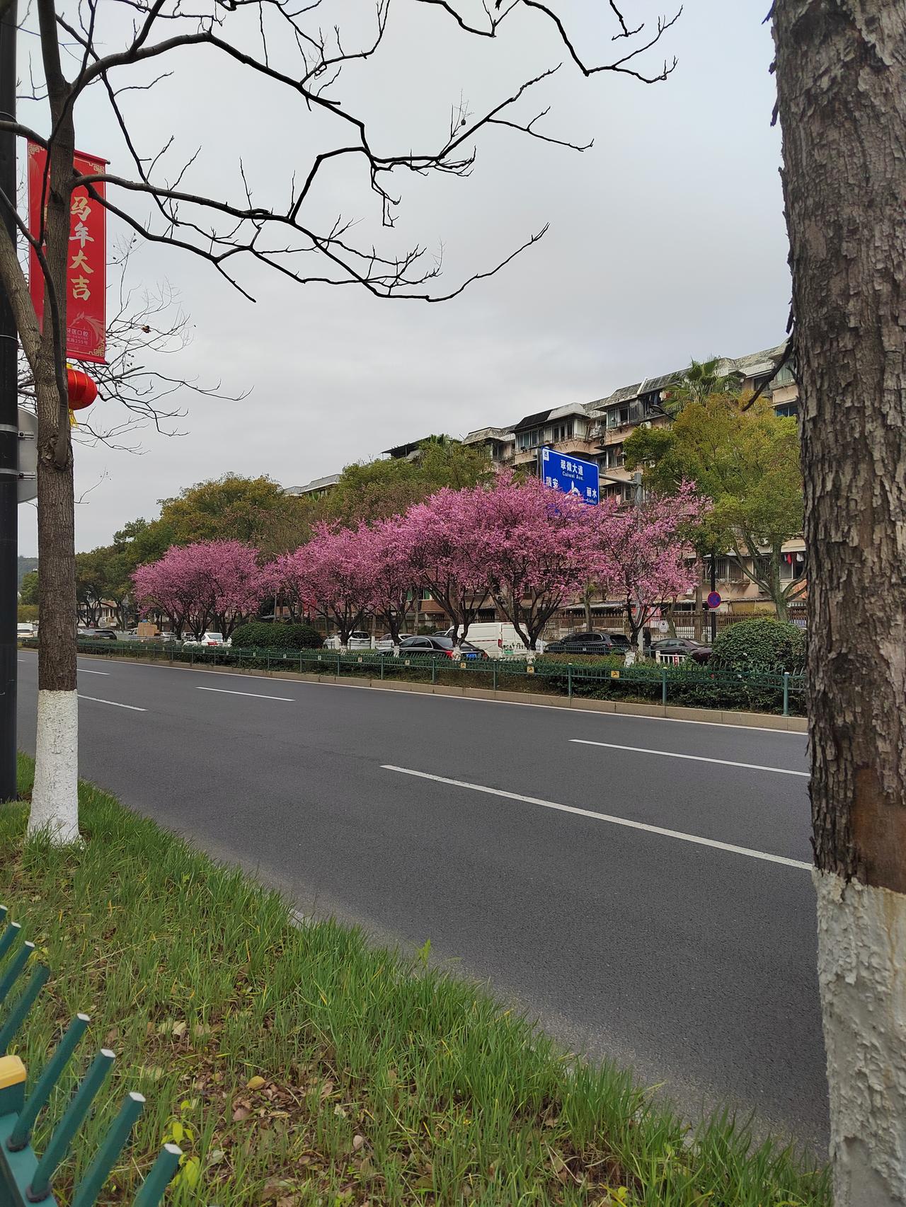 桃花春色暖先开,明媚谁人不看来。可惜狂风吹落后,殷红片片点莓苔。