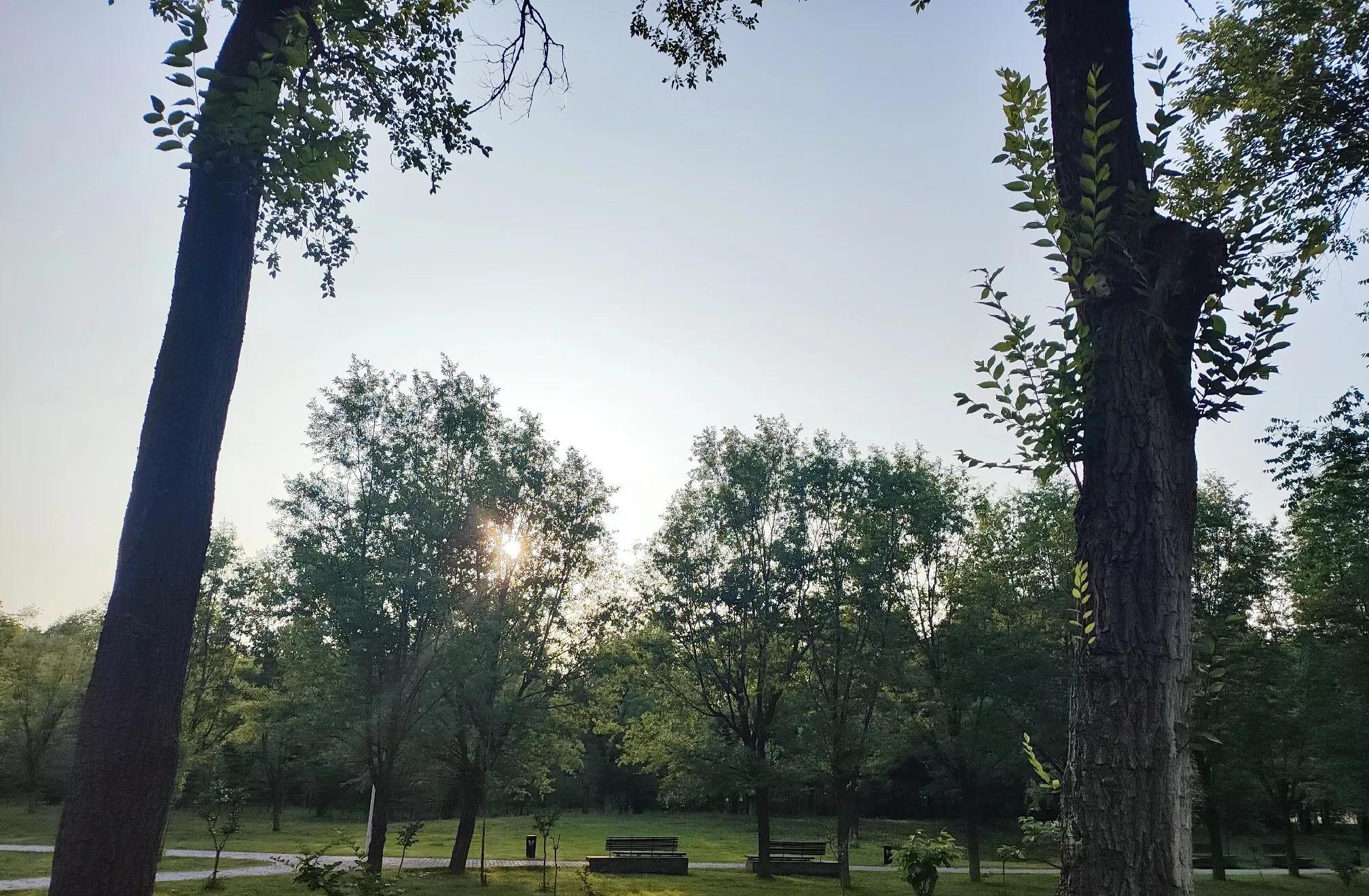 晚上下班回家，看到路边卖麒麟瓜，买了四个。这四个麒麟瓜，我分别给了父亲一