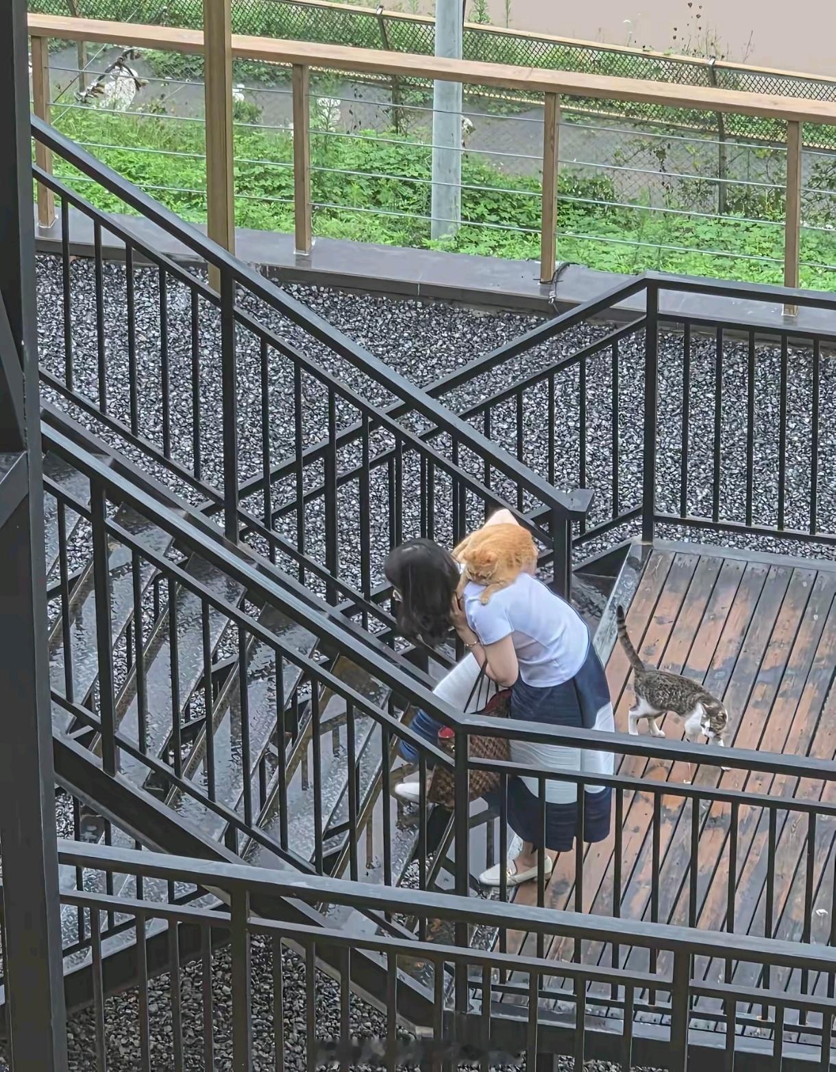 上楼梯都β……