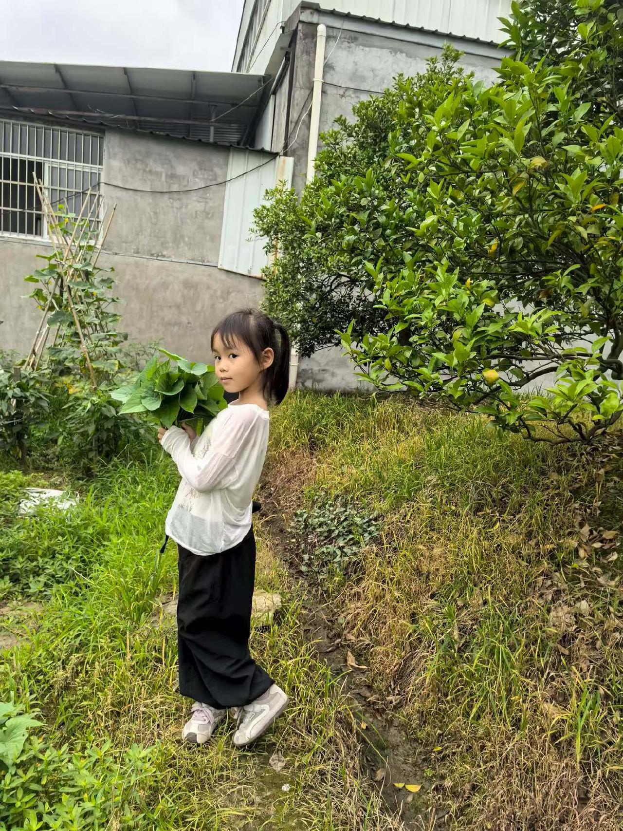 土地所给予的，远不止瓜果蔬菜小公主戴着斗笠、捧着新摘的菜叶，在田埂里摸西瓜的