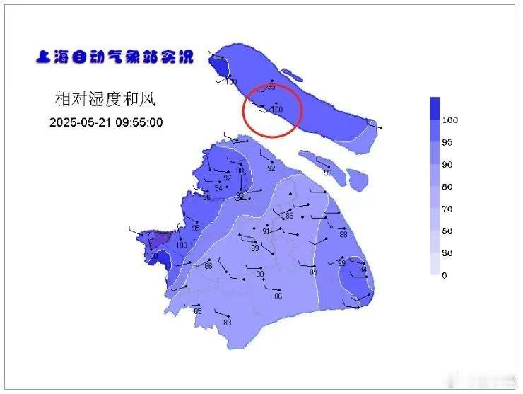 湿度100%根据气象信息，今天（21日），上海部分地区湿度达到了100%！这是什
