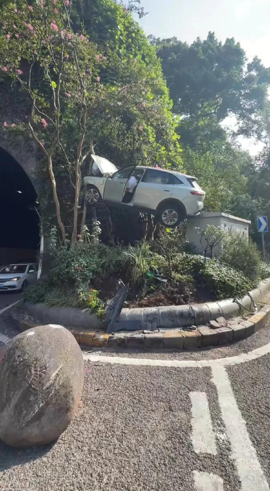 大哥，你是怎么飞上去的……教练果然对我藏了一手。