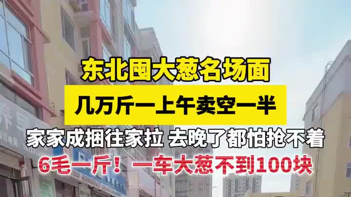 东北囤大葱名场面，几万斤一上午卖空一半，一车大葱不到100块