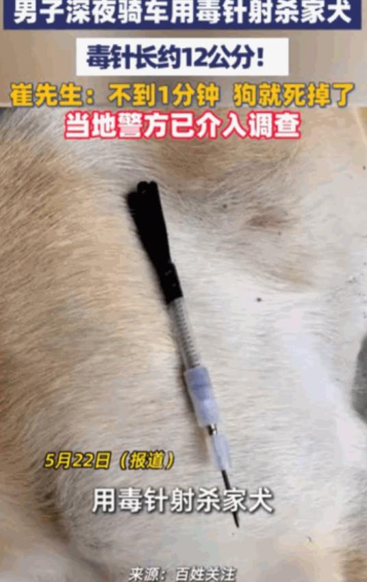 “天生坏种！”，据媒体5月22日报道，浙江嘉兴海盐县，一幕令人发指的场景真实上演