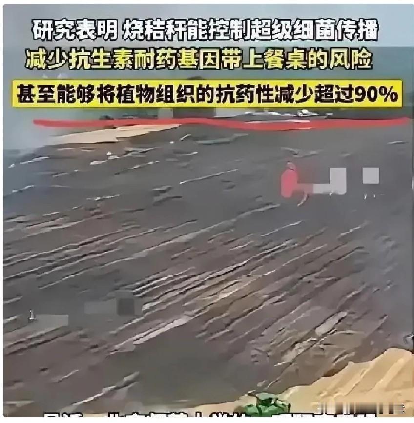 北师大最新研究说，秸秆烧完留下的黑碳能把土壤里那些耐药的坏基因压下去，消息一出，