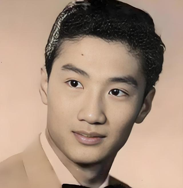 1985年农历除夕，香港半山别墅区传来玻璃碎裂声。四个黑衣壮汉将汽油泼向谢宅大门