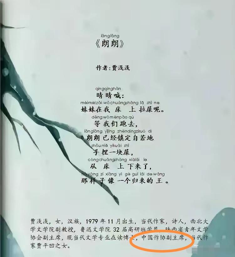 贾浅浅是中国作协副主席！可以这么理解吗？看图文，是这个意思吗？这标点符号用的，