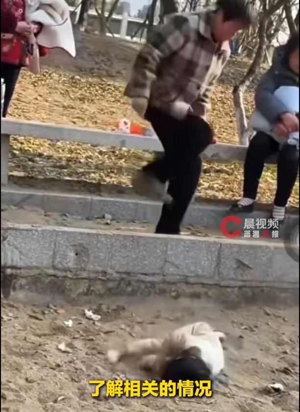 江苏苏州，街头一角，一个老太，对着一个幼女，狠狠地踢了几脚，她不解气，又将幼女丢