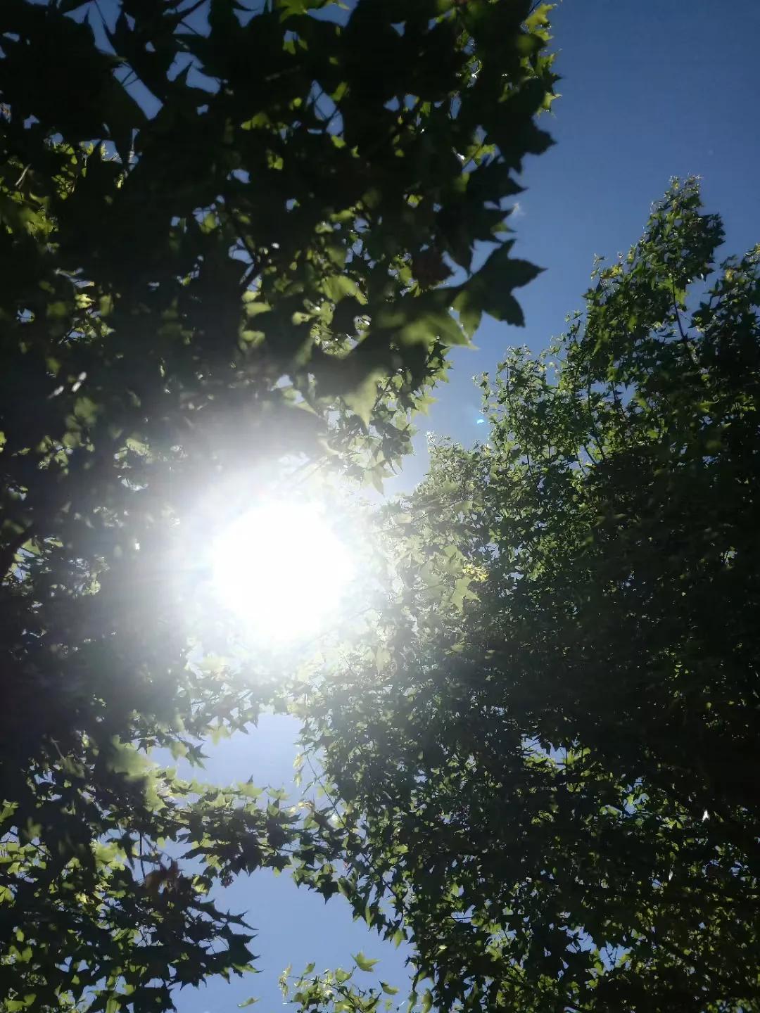 有的人特别搞笑说什么城市套路深我要回农村你以为农村就没套路了是吧真是天真