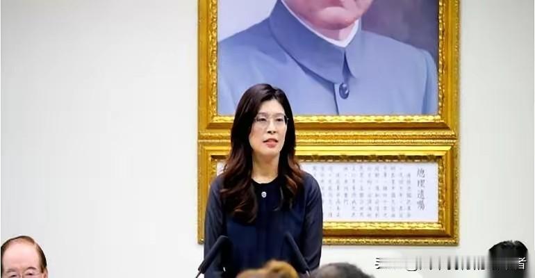 国民党内部权力格局调整，傅崐萁手握关键筹码成了个重要人物！这政治上的事儿，可