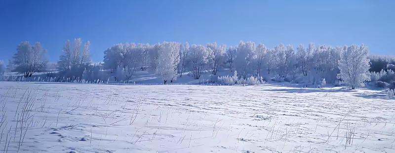 俗话说:大寒小寒冻死老汉；又说​“冷在三九”，果然诚不欺我，再有三天，也就是1月