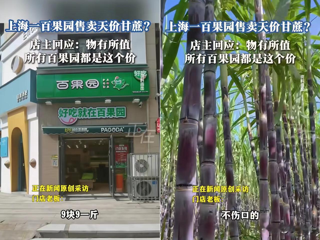 “贵有贵的道理？”上海一女子可被一根甘蔗“惊”到了！让孩子去买甘蔗，到手