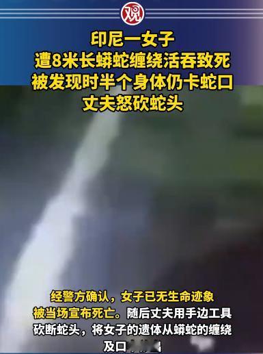 6月16号，印尼北马鲁古省出了一件让人头皮发麻的事。一个44岁的女人，被一条将