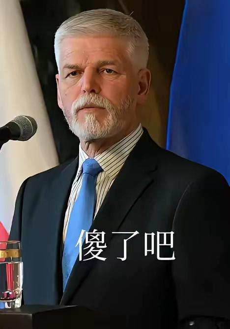 把挑衅者拉黑，看谁还敢瞎折腾，真痛快！今天世界一片安静。捷克总统或许是出于意识形