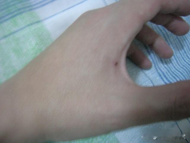 小时候没吃过啥好东西。长大了什么都要试一试！无论是南方还是北方的水果，飞禽走