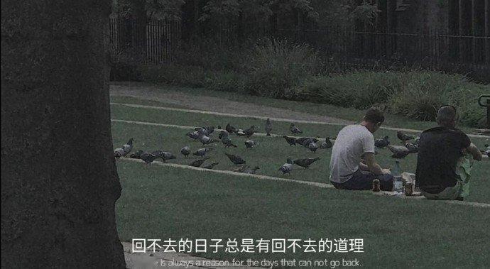 弘一法师曾说：“鱼那么信任水，水却把它煮了；树叶那么信任风，风却把它吹落了；我那