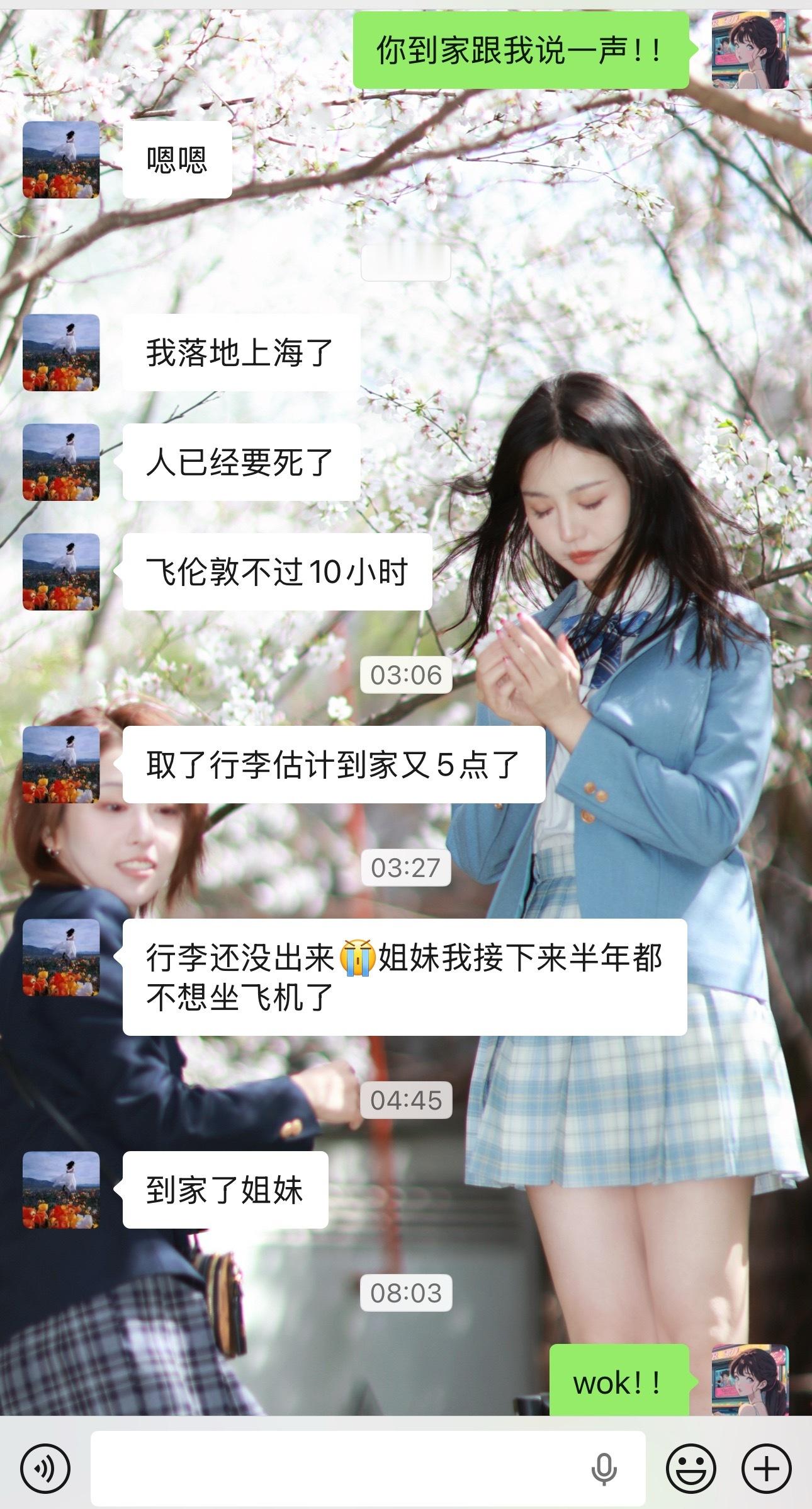 梳子从帕劳回来了！！但是是生着病回来的然后因为昨天上海这边下雨，她在杭州，坐飞机