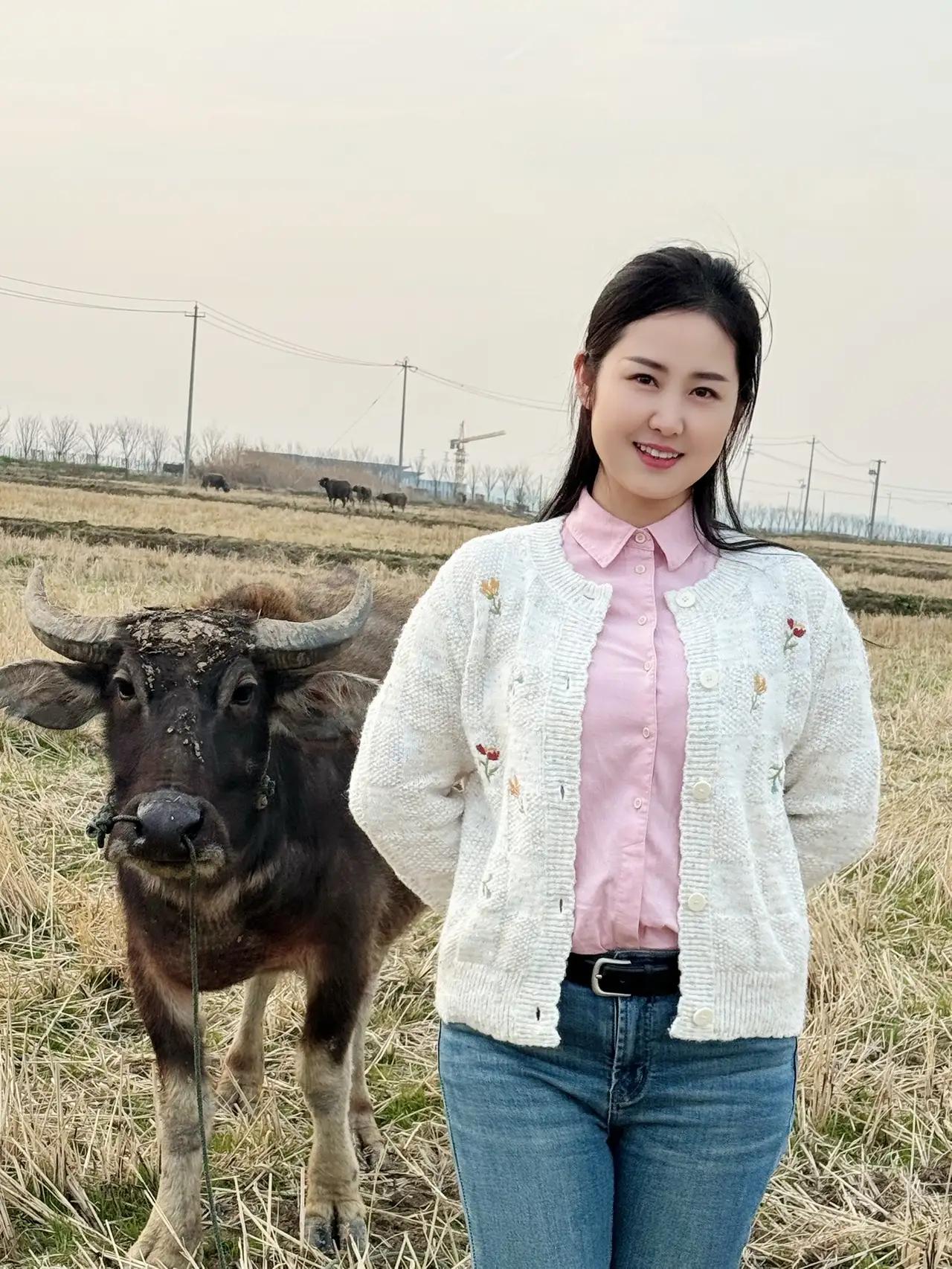 下联:风风雨雨风雨同舟。诚邀上联平平淡淡平淡生活。