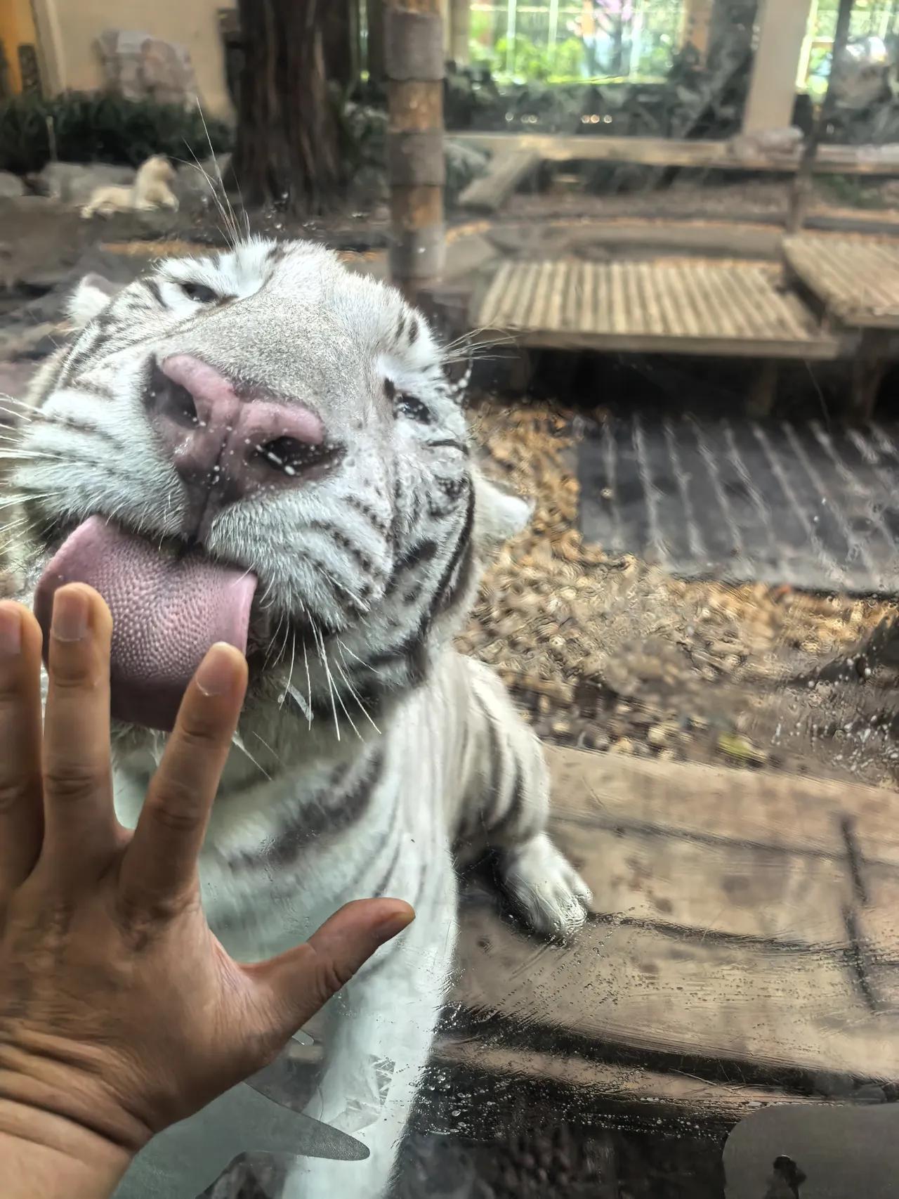 5月，要大变盘？A股4月收官，本月指数集体收涨，市场总体呈现震荡攀升态势，创业板