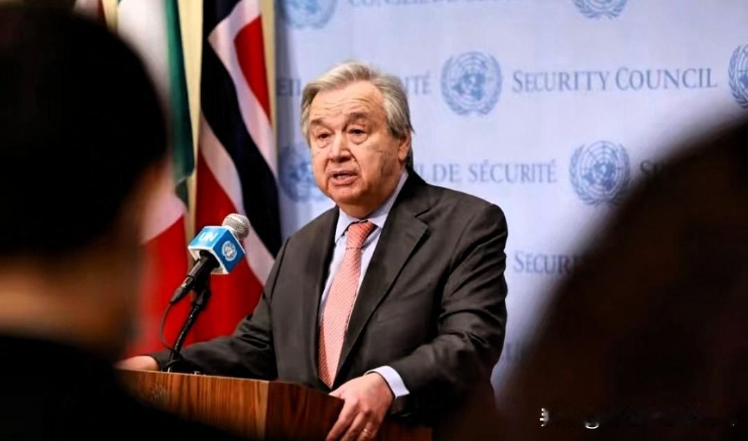 中日争议闹到联合国？结果来了：不表态！谁最坐不住？12月11日，一则牵动多