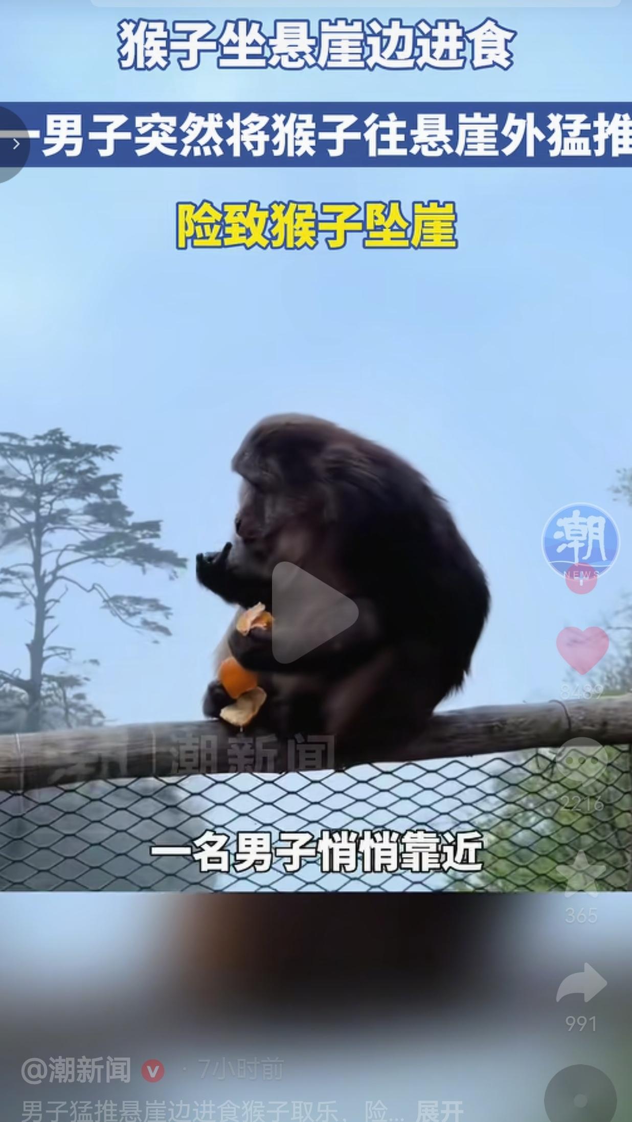 四川峨眉山男子猛推悬崖边进食猴子取乐，险致猴子坠崖！四川峨眉山景区，一只猴