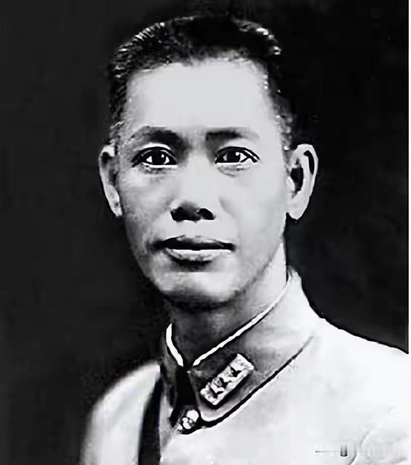 南昌起义一大憾事：贺龙提前看穿此人动摇提议扣押，叶挺念旧没听，四千五百精锐半路出