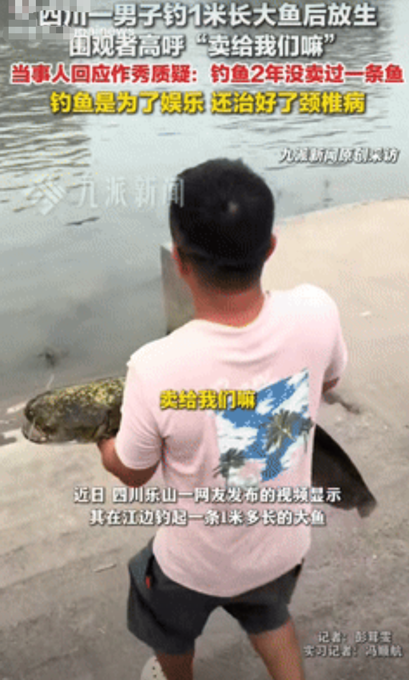 “有钱就是任性！”四川乐山，一男子在江边垂钓，竟钓起一条长达1米多的大鱼，周围人