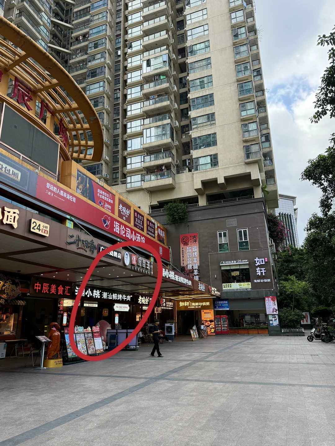 岗顶还真的开了啊啊！！！！