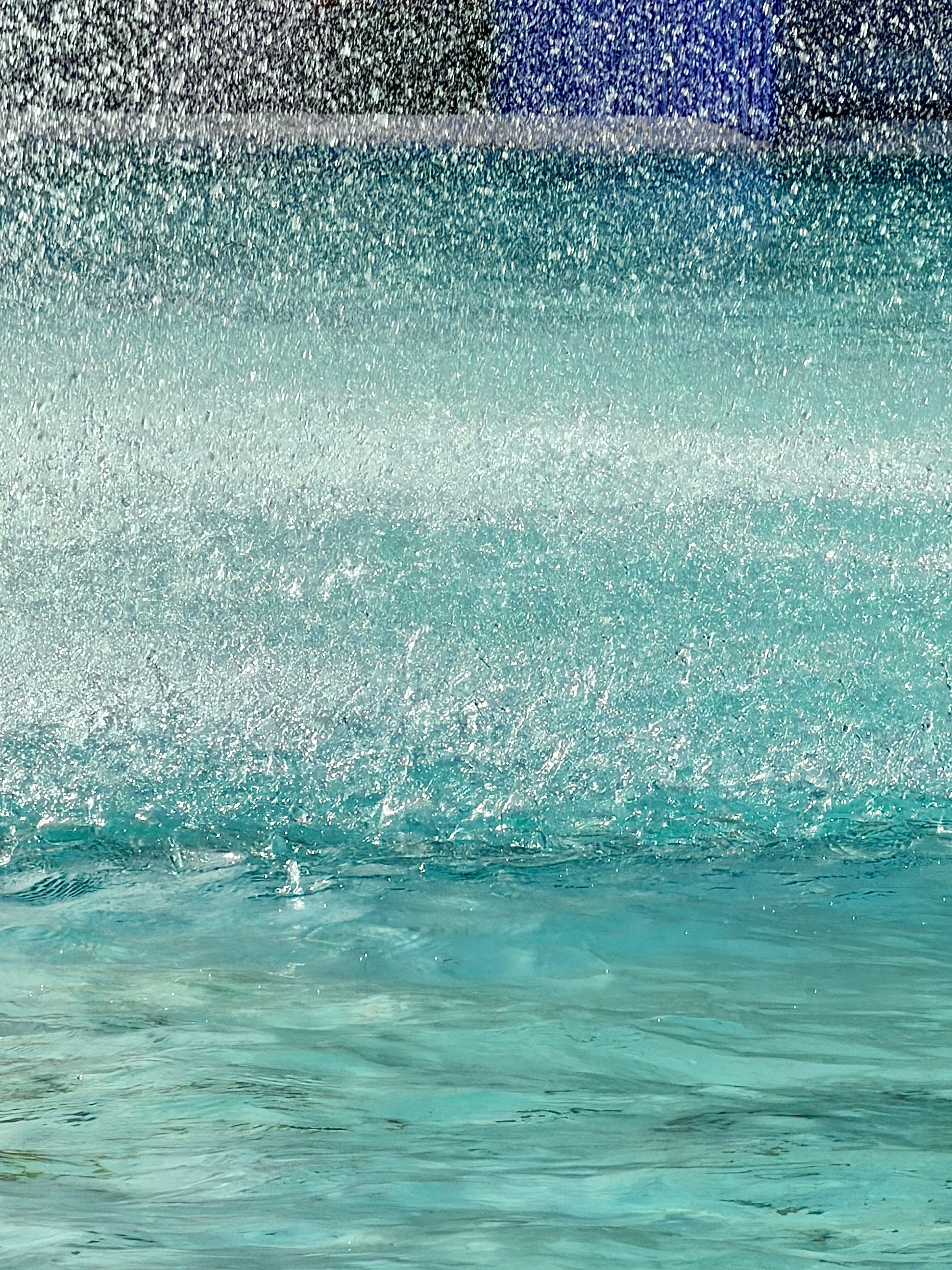 昨天今天下雨天眼下是春天！！！香港·九龙公园