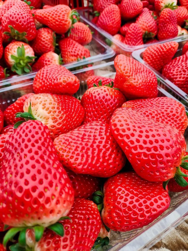 武汉草莓大降价！低至1元一斤，市民实现草莓自由近日武汉持续