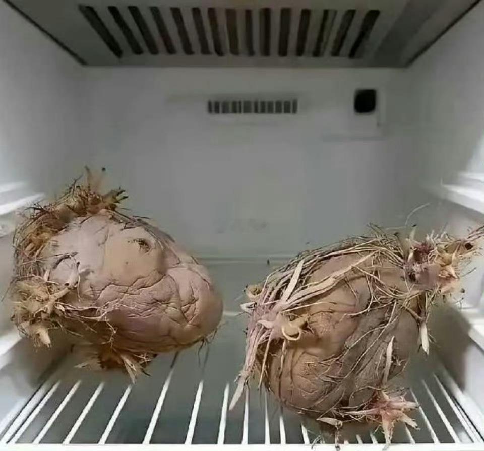 老一辈就是节约，殊不知电费都比他们贵