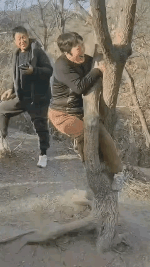 这个女子吃饱撑的，闲的没事，故意找事，她的行为让人无法理解，实实在在说，都是成年