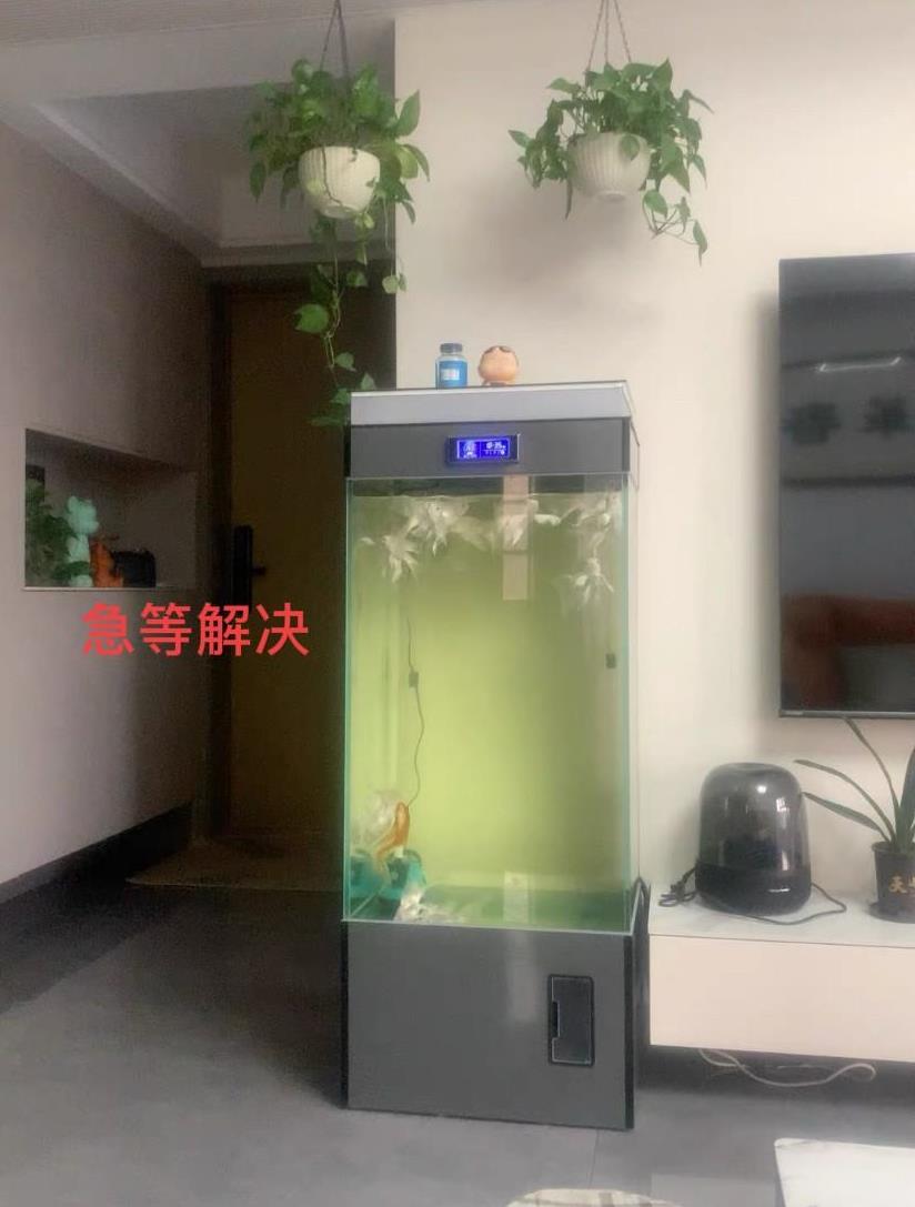 鱼缸水浑怎么解决，我爸养的鱼换了一茬又一茬，新换的水也凉了两三天，按网友说的少喂