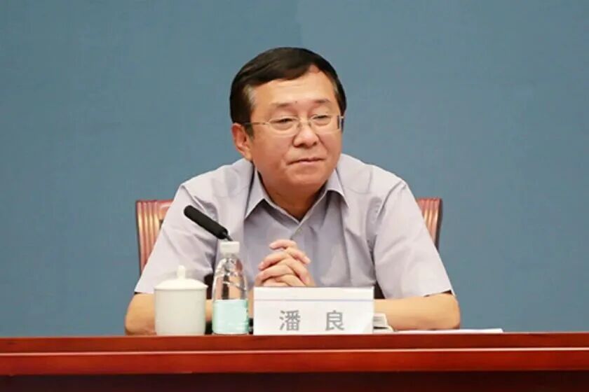 退而不休、作风败坏, 国务院国有资产监督管理委员会原副部长级干部潘良被公诉