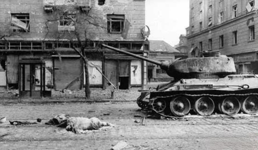 1956年，斯大林被赫鲁晓夫拉下神坛，东欧各国掀起了一场“批判斯大林”的风潮。而