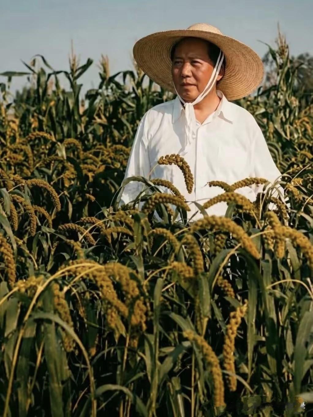 他是中国人民的大救星，暗夜擎灯，改天换地，让亿万农奴挺直脊梁。劳动人民永远怀念您