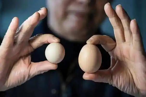 医生发现：早上经常吃鸡蛋的老人，过不了多久，身体或有4个改变一位六十多岁的老