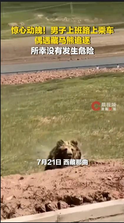 随着生态保护越来越好，我国野生动物特别是凶猛野生动物到人类居住区的现象越来越多，