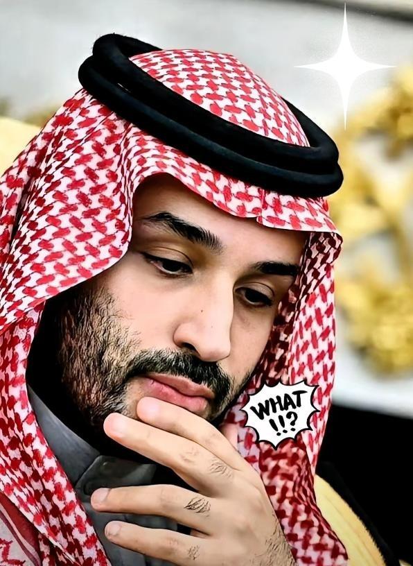 沙特这回是真把桌子给掀了。25艘超大油轮，满载5000万桶原油，完全不理会霍尔木