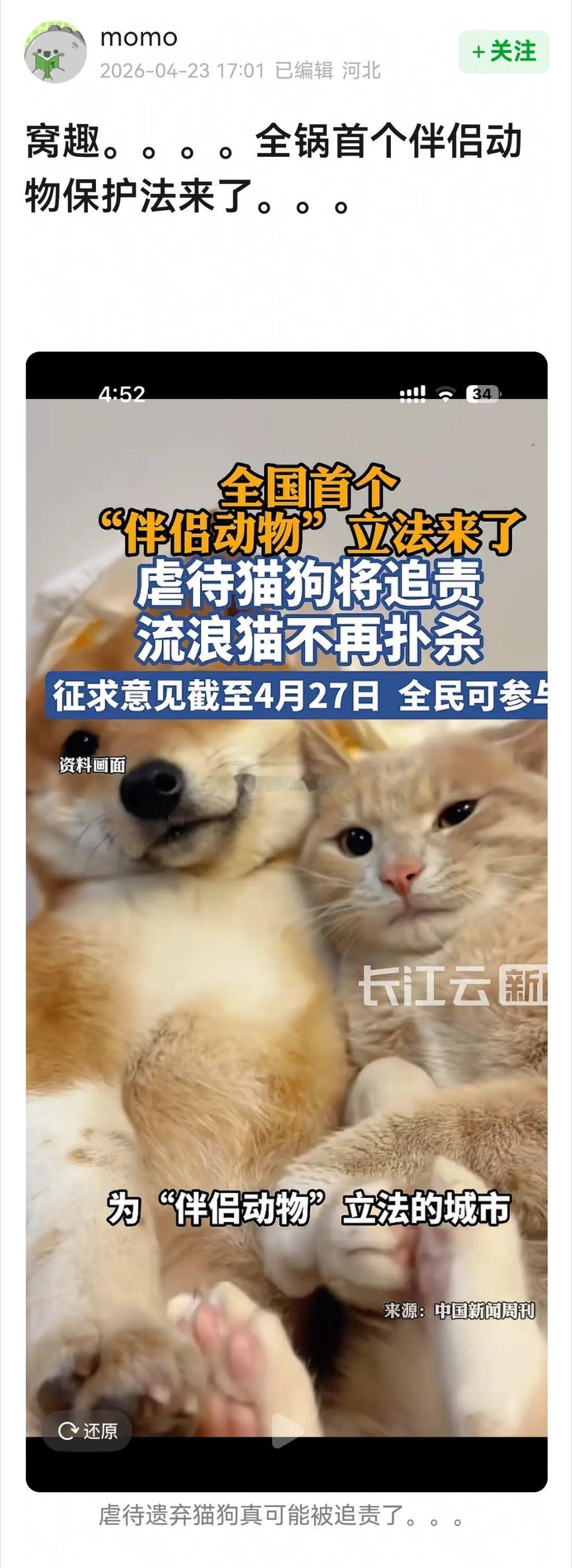 全锅首个伴侣动物保护法来了～